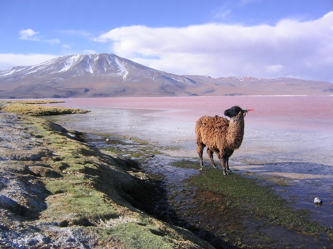 Bolivia