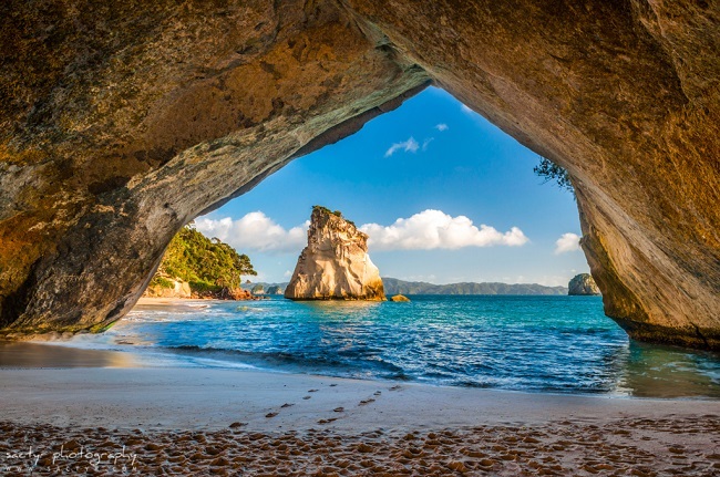 Coromandel-Peninsula-New-Zealand